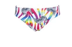 Maillot De Bain Arena Homme Crazy Zebras Brief Multicolor 10 Maillot De Bain Arena Homme Crazy Zebras Brief Multicolor -Natation Équipement Magasin 002908 850 m crazy zebras brief 005 f s